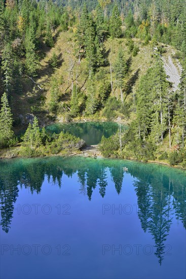 Sieglsee in Schwarzwassertal