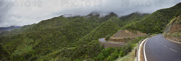 Road winding from the forest to the valley of Vallehermoso