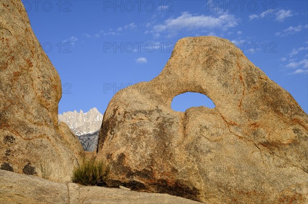 Sharktooth Arch