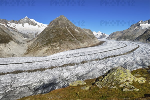Great Aletsch Glacier