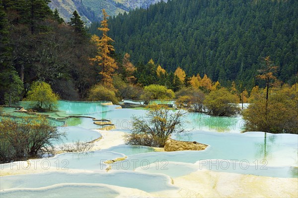 Lime terraces with lakes in autumnal environment
