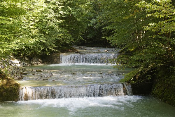 Steinbach or Achen river