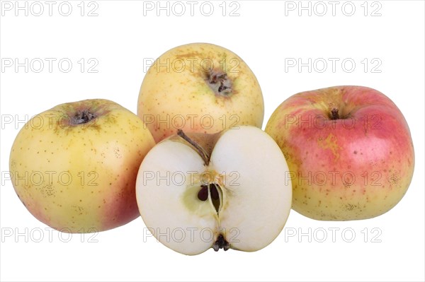 Apple variety Weilburger
