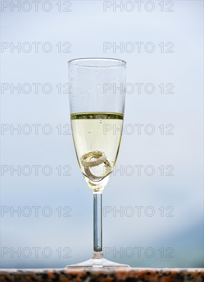 Wedding rings in a champagne glass