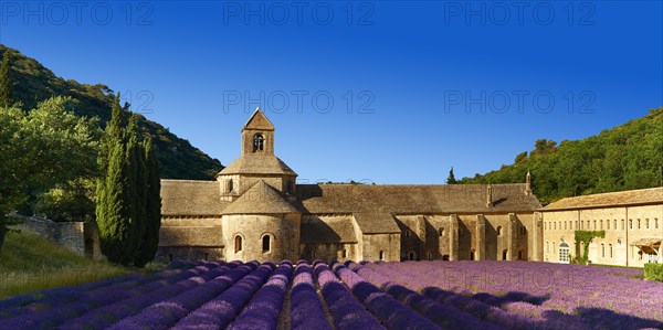 The Romanesque Cistercian Abbey of Notre Dame of Senanque