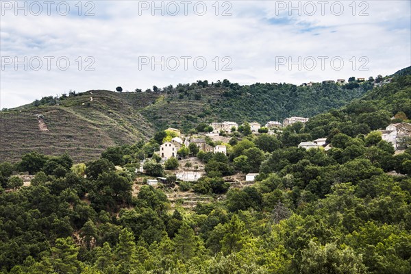 Small mountain village in the forest