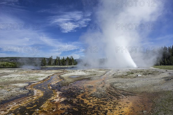 Splendid Geyser