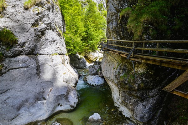 Wooden boardwalk in the Nothklamm gorge