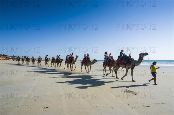 Tourists riding on camels on Cable Beach