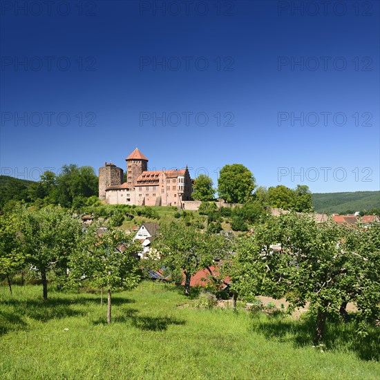 Orchard vis-a-vis Burg Rieneck Castle in Sinntal Valley