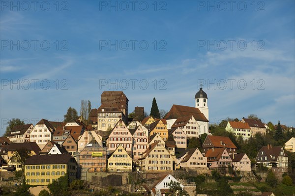 View of Altensteig