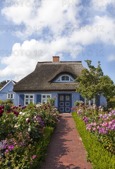 Thatched wooden house
