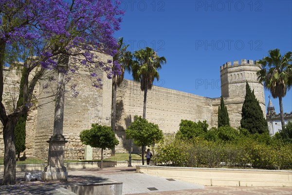 Alcazar de Jerez