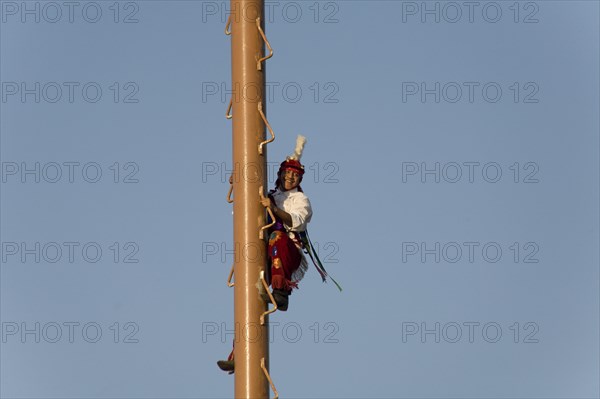 Volador climbed the palo volador mast