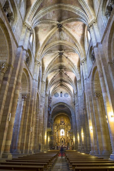 Romanesque Basilica de San Vicente