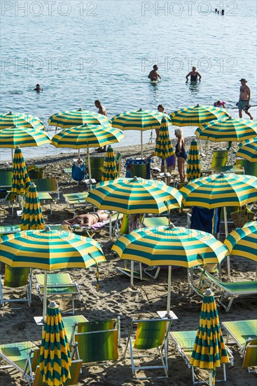 Rows of parasols on the beach