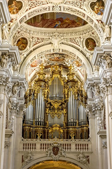 Organ
