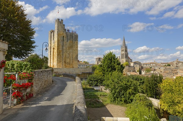 Chateau du Roi