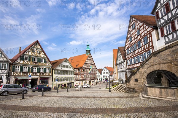 Half-timbered houses