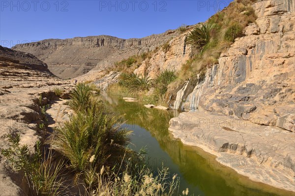 Water in a guelta at Idaran Canyon