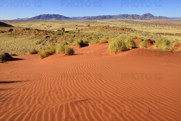 View over NamibRand Nature Reserve towards Nubib Mountains