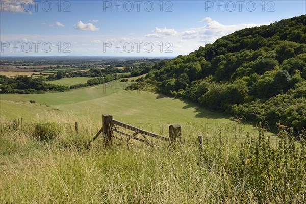 Oxfordshire countryside seen from White Horse Hill