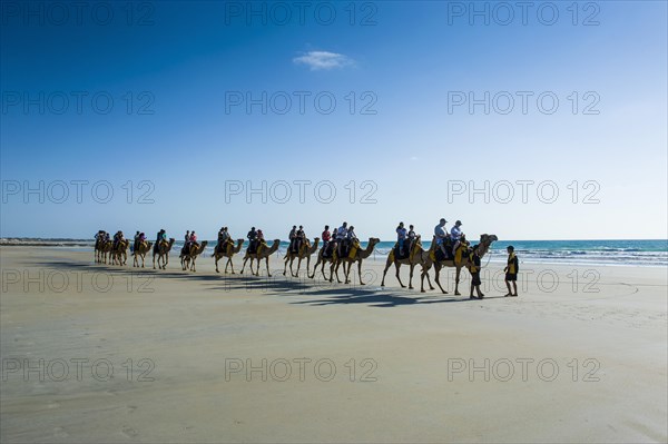 Tourists riding on camels on Cable Beach