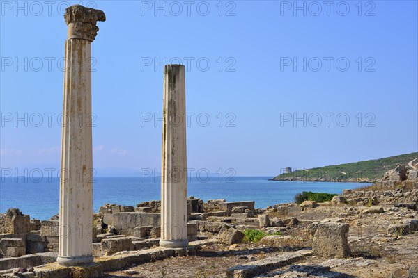 Excavations of the ancient city of Tharros