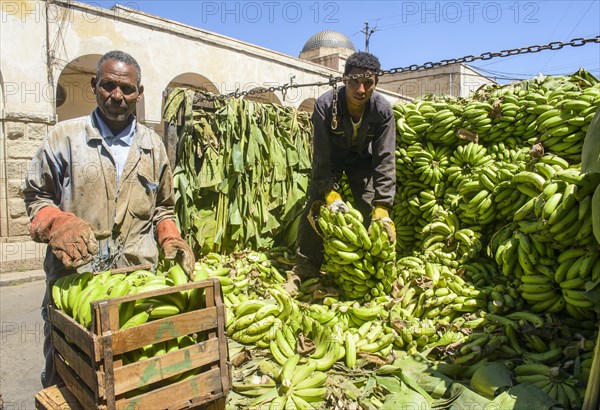 Men carrying bananas from a truck