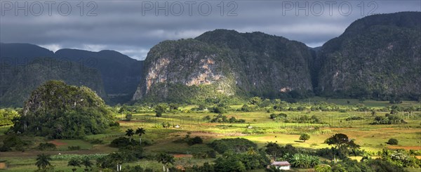 Tobacco fields and the Mogotes karst mountains