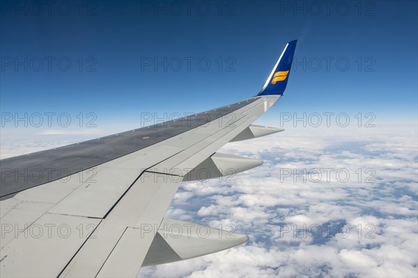 Wing