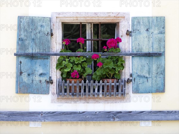 Window with geraniums