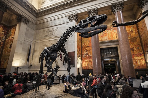 Skeleton of an Allosaurus