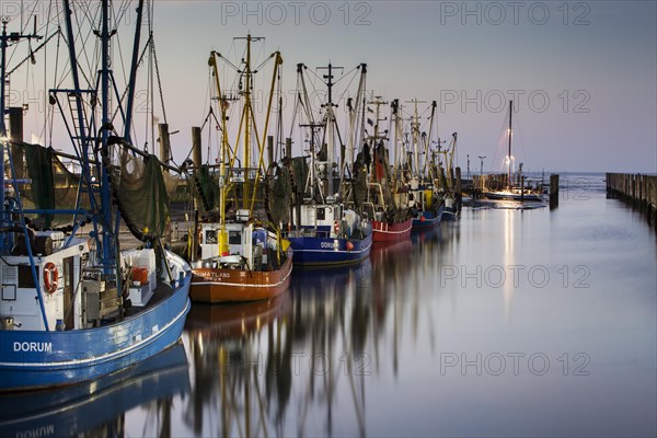 Boats in the harbour