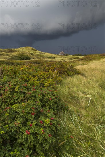 Dramatic storm clouds over dunes