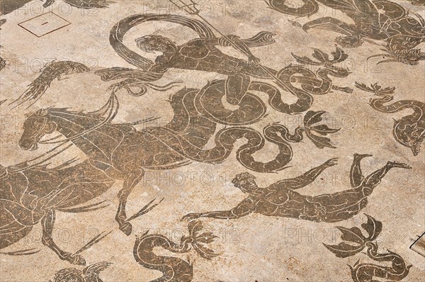 Roman mosaic in the Neptune Therme