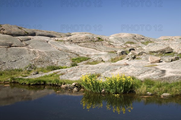 Archipelago