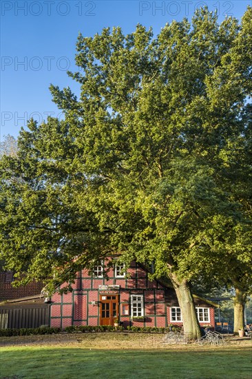 Restaurant Neu Helgoland at Hamme