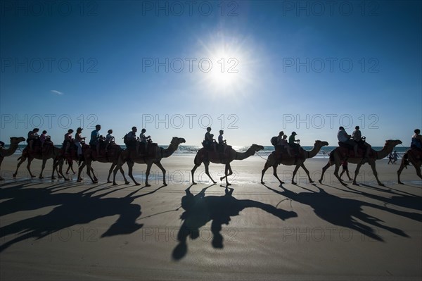 Tourists riding on camels on Cable Beach