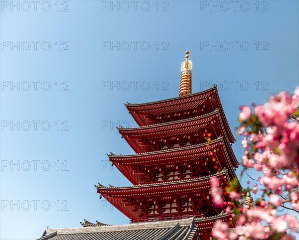 Five-story pagoda