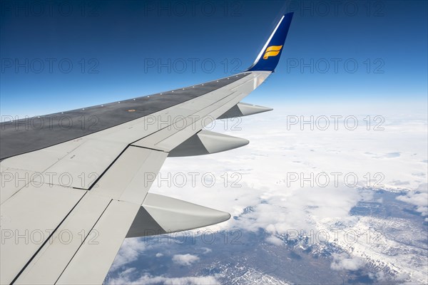 Wing