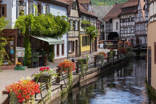 Wassergasse street with the Queich river