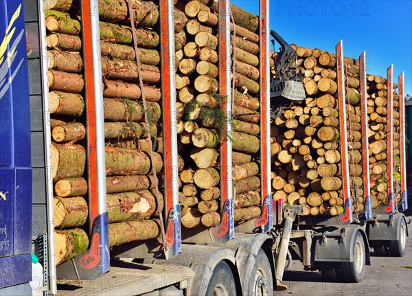 Truck with trailer