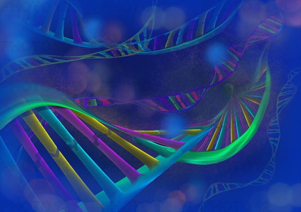DNA chains