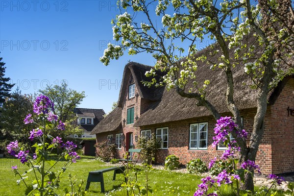 Oomrang Hus