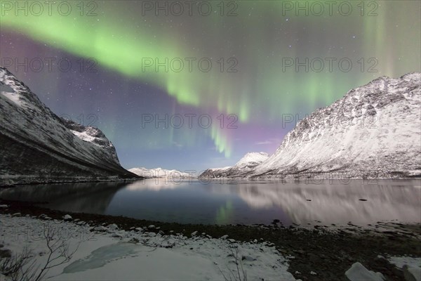 Aurora over the Grotfjord