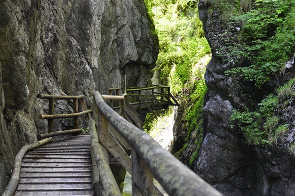 Wooden boardwalk in the Nothklamm gorge