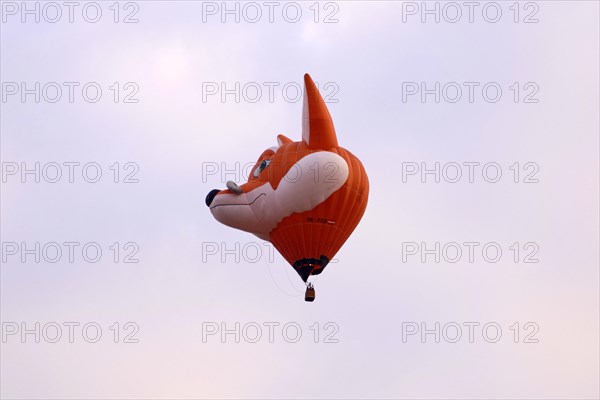 Balloon in the shape of a fox head