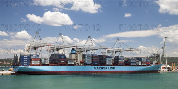 Container ship in the port