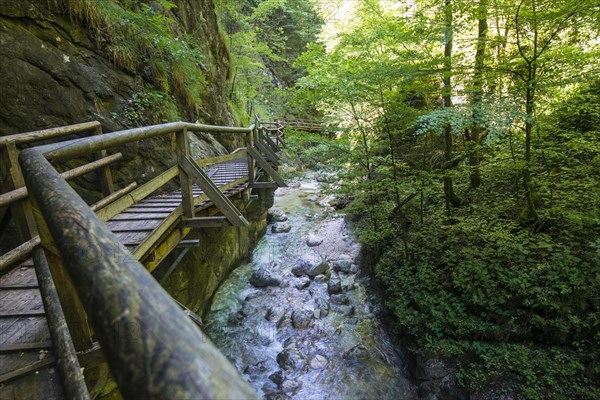 Wooden boardwalk